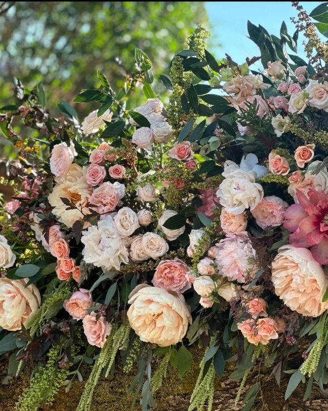Did you know there is a Florist credit union? Well coming soon to PNWF association members! Stay tuned, and join! #pnwflorist #pdxflorist #portlandflorist #portlandflowershop #bendflorist ##washingtonflorist #vancouverflorist #portlandflowershop