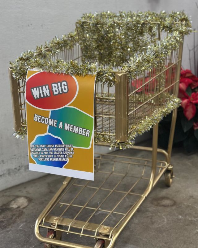 There is still time to WIN $800!!!! Become a member of the Pacific Northwest Florist Association and get a chance to WIN THE GOLDEN SHOPPING CART! The winner will be drawn at the end of year party from 1-5 at the Portland Flower Market this Friday December 29th! $200 to spend @frankadamswf $200 @oregonflowergrowers $200 @mayeshportland and $200 @billdoranportland #oregonflorist #portlandflorist #pdxflorist #washingtonflorist #oregonflowers #salemflorist #bendflorist #portlandfloraldesigner